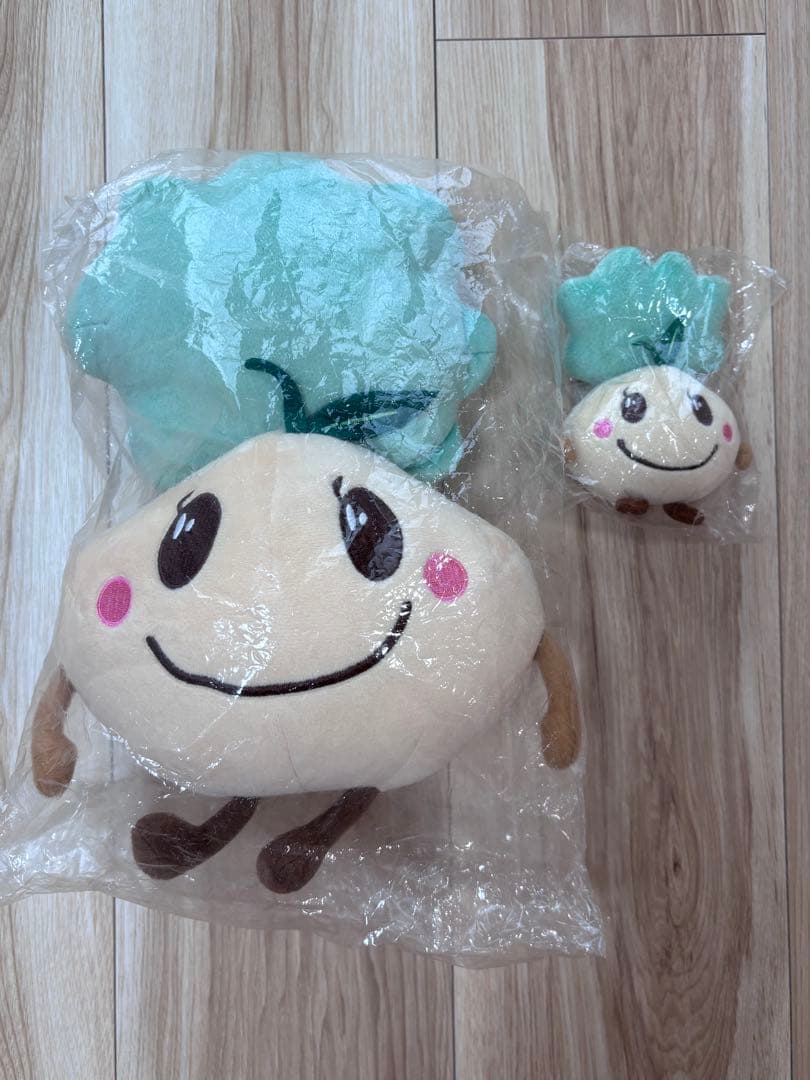 ぬいぐるみ　わタネちゃん　2個セット — image 5