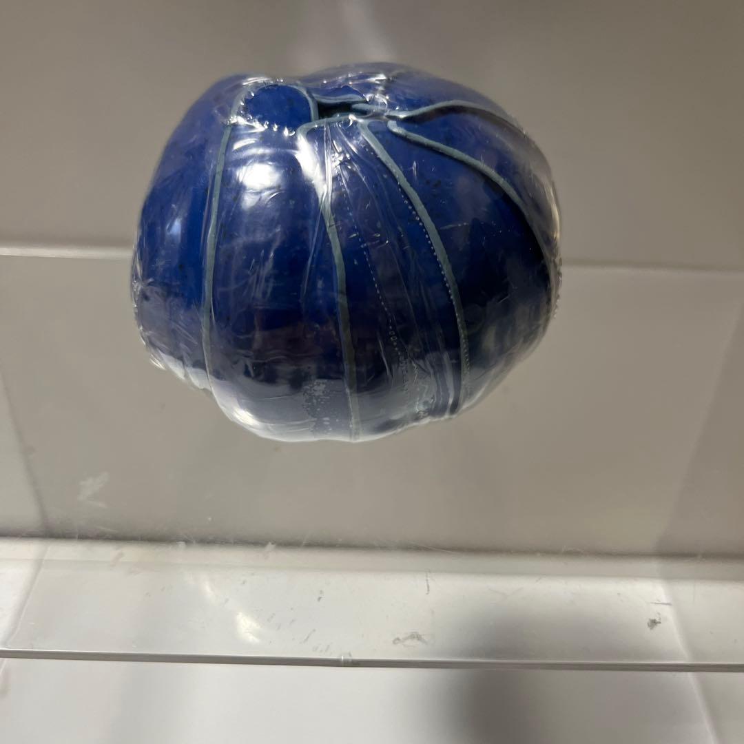 いきもの大図鑑アドバンスダンゴムシ イリドダンゴムシ — image 3