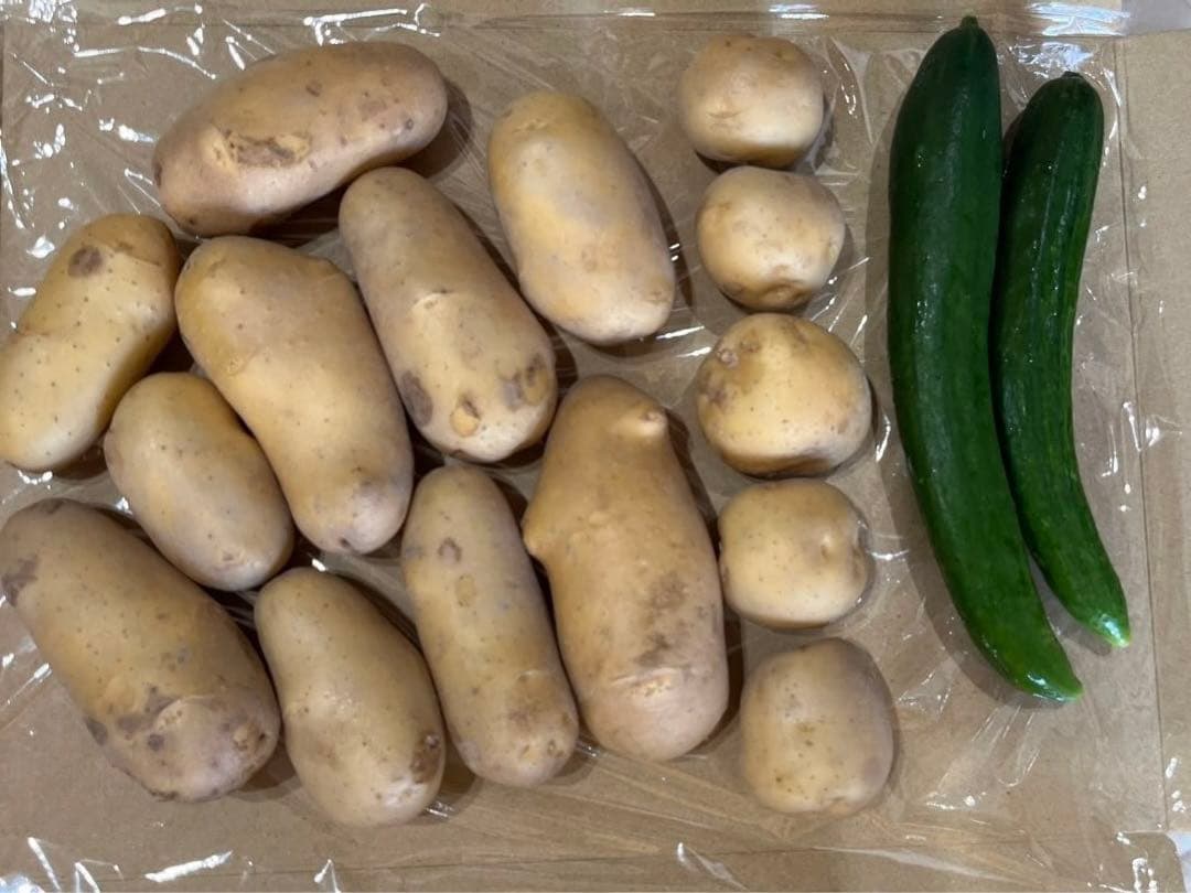 新鮮野菜セット じゃがいも きゅうり — image 2
