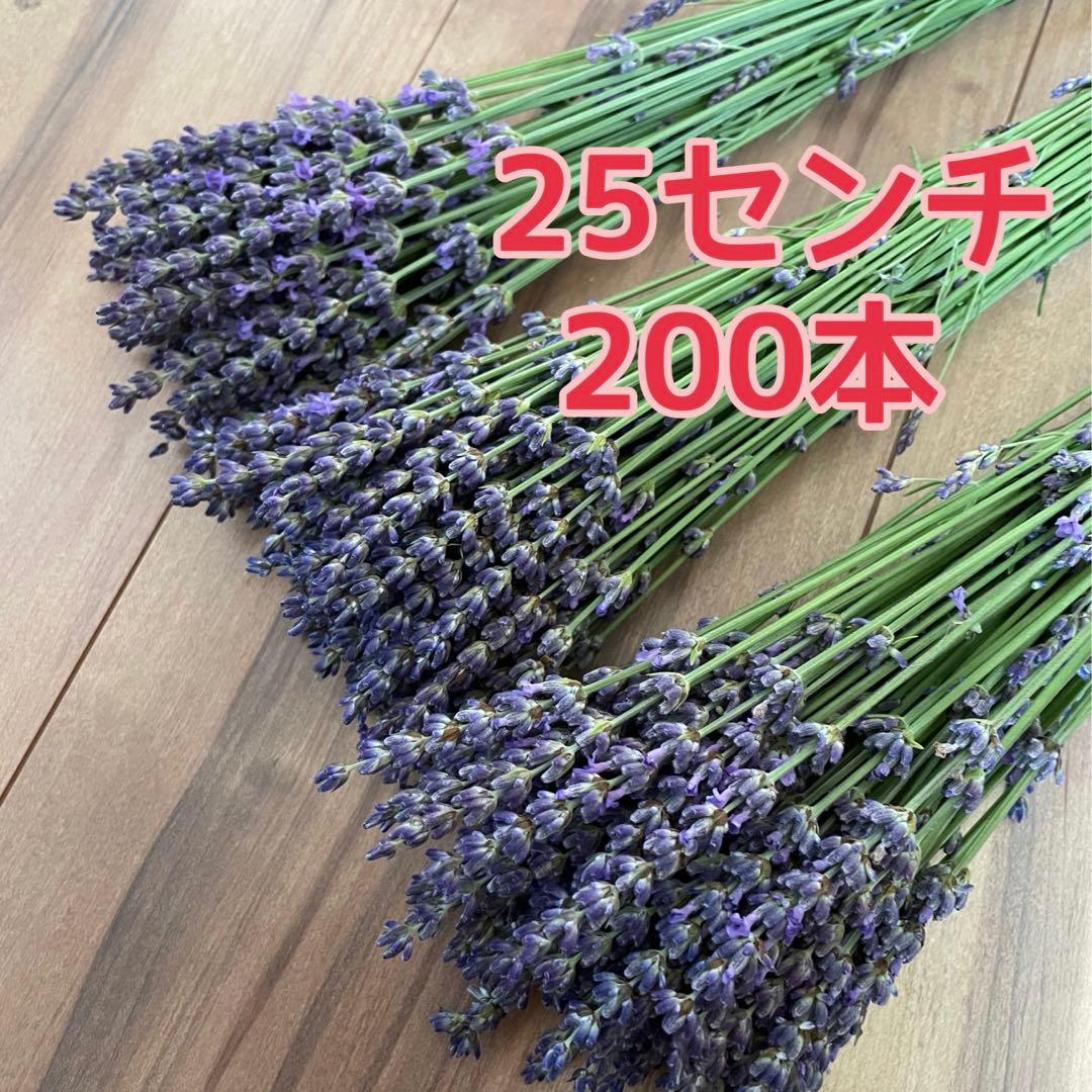 aoirӦ様 リクエスト 2点 まとめ商品 — image 2