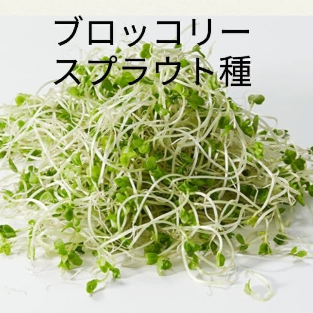 myk（＾∇＾）様 リクエスト 2点 まとめ商品 — image 2