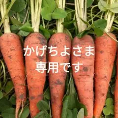 ★栽培期間中農薬不使用★ 人参 クリスティーヌ — image 1