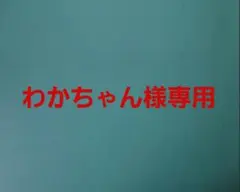 わかちゃん様専用 — image 1