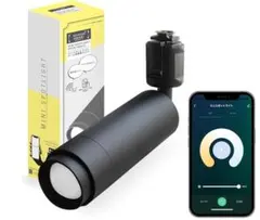 エジソンスマート LEDスポットライト 黒 Alexa Wi-Fi 調光調色 — image 1
