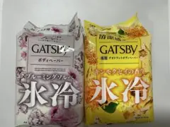GATSBY ボディペーパー 氷冷 2種セット — image 1
