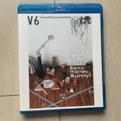 V6 live tour 2011 Sexy.Honey.Bunny! — image 1