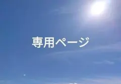 メルさま専用 — image 1