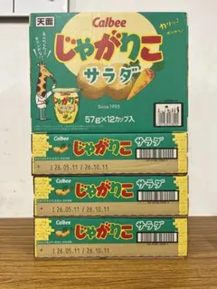 じゃがりこ　サラダ　4箱(48カップ) — image 1