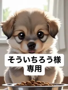 そういちろう様　専用 — image 1