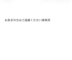 お急ぎの方はご遠慮ください様専用 — image 1