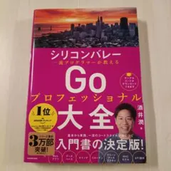 シリコンバレー 一流プログラマーが教える Goプロフェッショナル大全 — image 1