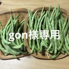 6/28 gon様専用 — image 1
