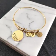 ALEX AND ANI ゴールドフープ プレート ブレスレット +ENERGY — image 1