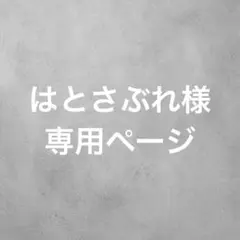 はとさぶれ様専用ページ — image 1