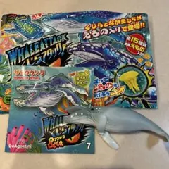 くじらアタック&co アンドコ ザトウクジラ — image 1