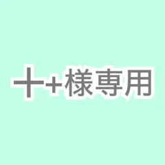╋+様専用 — image 1