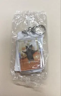 猫ミーム ハッピー猫 キーホルダー 新品未開封 — image 1
