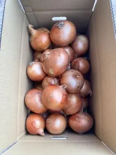 [農家直送]送料無料 淡路島産 玉ねぎ ターザン10kg 訳あり ☆早い者勝ち☆ — image 1