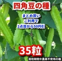 あくびちゃん様 リクエスト 2点 まとめ商品 — image 1