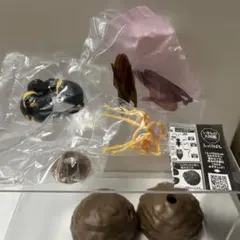 いきもの大図鑑とっくりばちミカドトックリバチ — image 1