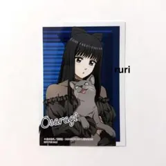 サカモトデイズ ︎ ︎大佛 ︎ ︎猫と戯れ ︎ ︎アニメイト ︎ ︎購入特典 ︎ ︎ブロマイド — image 1