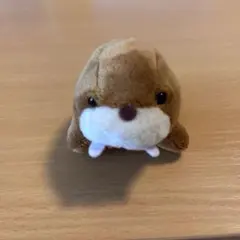 うみたまご セイウチ ぬいぐるみ — image 1