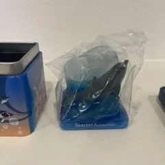 Seacret Aquarium collection バンドウイルカ — image 1
