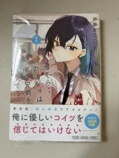 【特典・シュリンク付き】 おそらくカノジョは俺の兄貴を狙ってる 1巻 — image 1