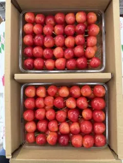 山形県産 紅王　1キロ　Lサイズ　手詰め — image 1