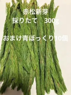 週1回の出荷 アカウント様 リクエスト 2点 まとめ商品 — image 1