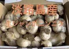 淡路島産 生ジャンボニンニク1.7kg — image 1