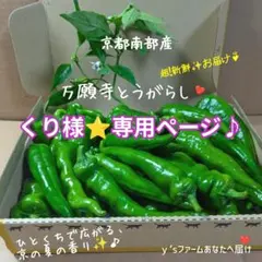 くり様⭐️専用ページ♪♪ — image 1