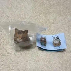 おぱんつ猫　ゆるゆる茶トラ　ガチャガチャ — image 1