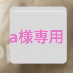 a様専用 — image 1