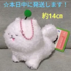 【 18TRIP　しゅうまいマスコット 】 — image 1