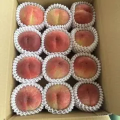 福島の桃 — image 1
