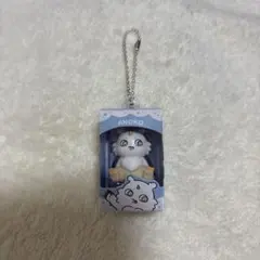 ちいかわチョコボックス　フィギュアコレクション　あのこ — image 1