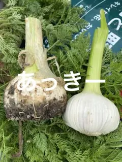 あっきー様専用です — image 1