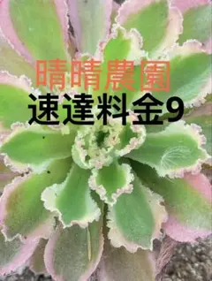 速達料金9 — image 1