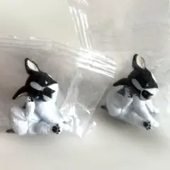 フレンチブルドッグ 2個セット　カイカイ　新品未開封 — image 1