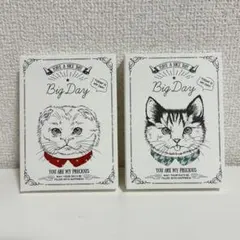 【新品未使用】BIG DAY猫柄パッケージ ハンカチ プチギフト 2個セット — image 1