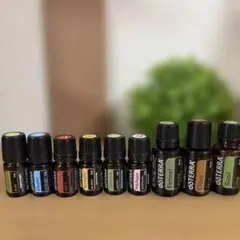 【doTERRA】9本セット オンガード・イージーエア・オレガノ入り — image 1