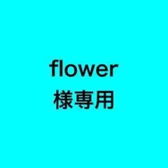 flower様専用 — image 1