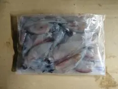 釣餌 ホタルイカ 6月 蛍烏賊 富山　200g×8 1.6kg — image 1