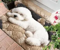 犬柄 マット — image 1