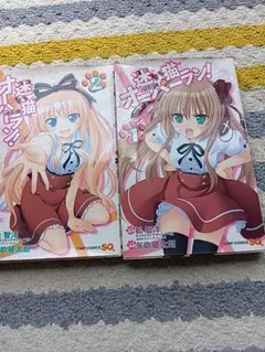 迷い猫オーバーラン！ 1巻 2巻 ★ — image 1