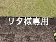 リタ様専用①高麗 — image 1