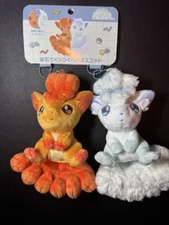 ポケモン にたものどうし 磁石でくっつくペアマスコット ロコン＆アローラロコン — image 1