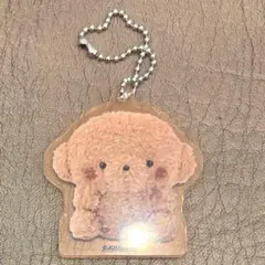 じょぜまる アクリルキーホルダー　F賞　トイプードル — image 1