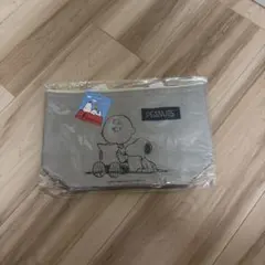 【新品未開封】スヌーピー 保冷温バッグ グレー — image 1